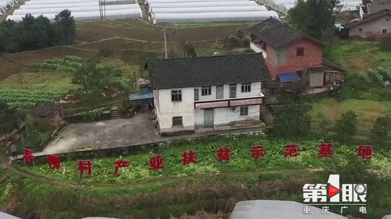https://gosscdn.cbgcloud.com/cqtl/QMTNRK_YUNSHI/E5AE8BE89687/406872DCF4F2444FAD5F61F7E2B2CB12.jpg